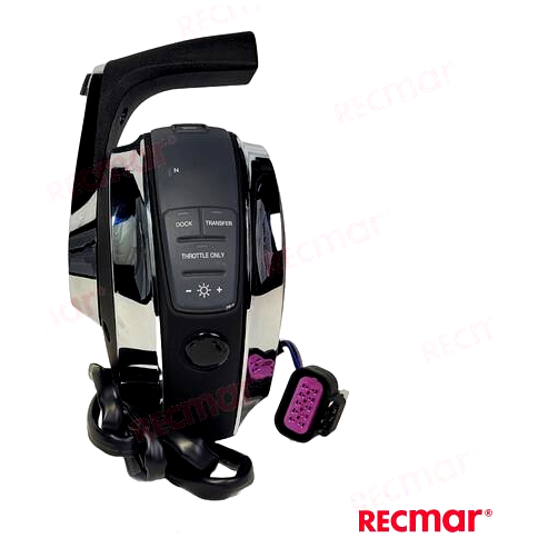 -REC8M0079291