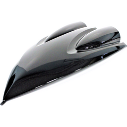 Visor
