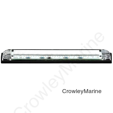 6", 12 White LEDs