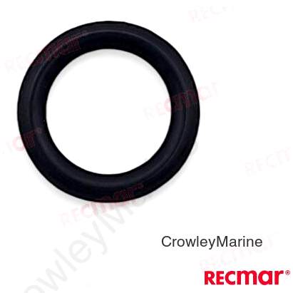O-RING