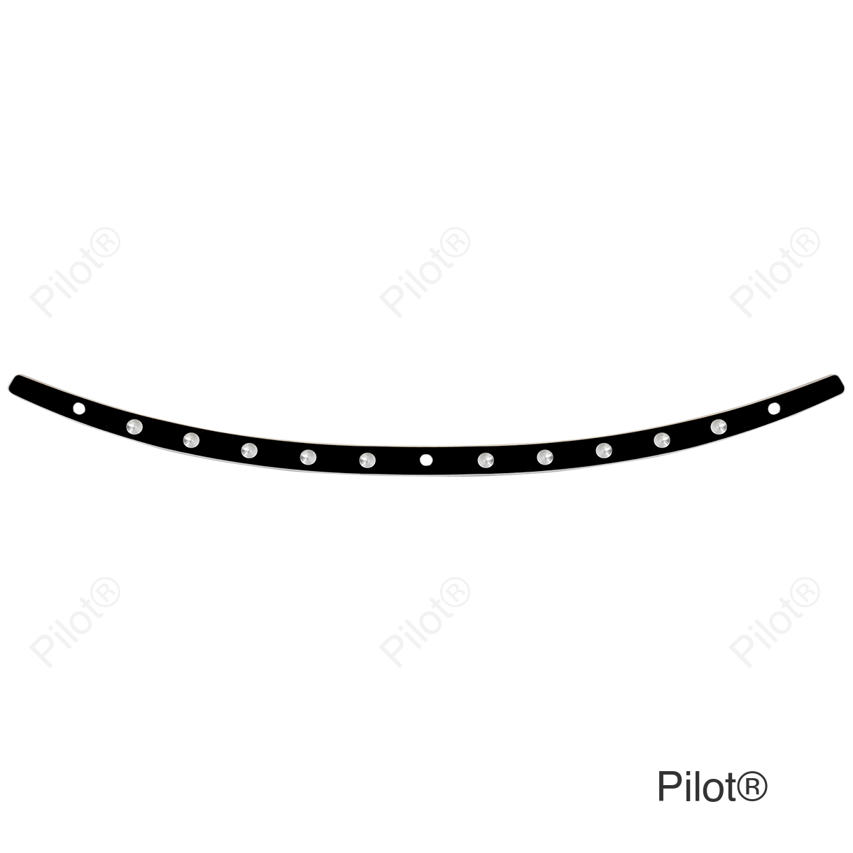 Windshield Trim - Black - Dish - FLH