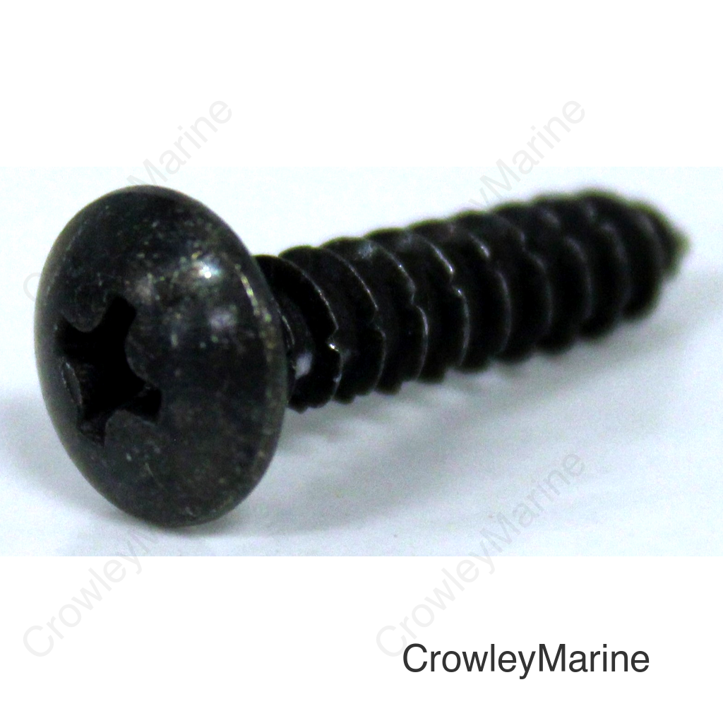 SCREW, TAP (4X20)