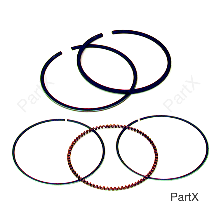 Piston Rings (24370)