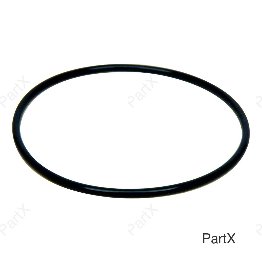 O-Ring (84002)