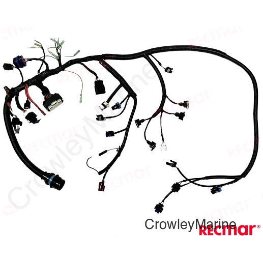 ENGINES MAIN HARNESS 40/50/60HP