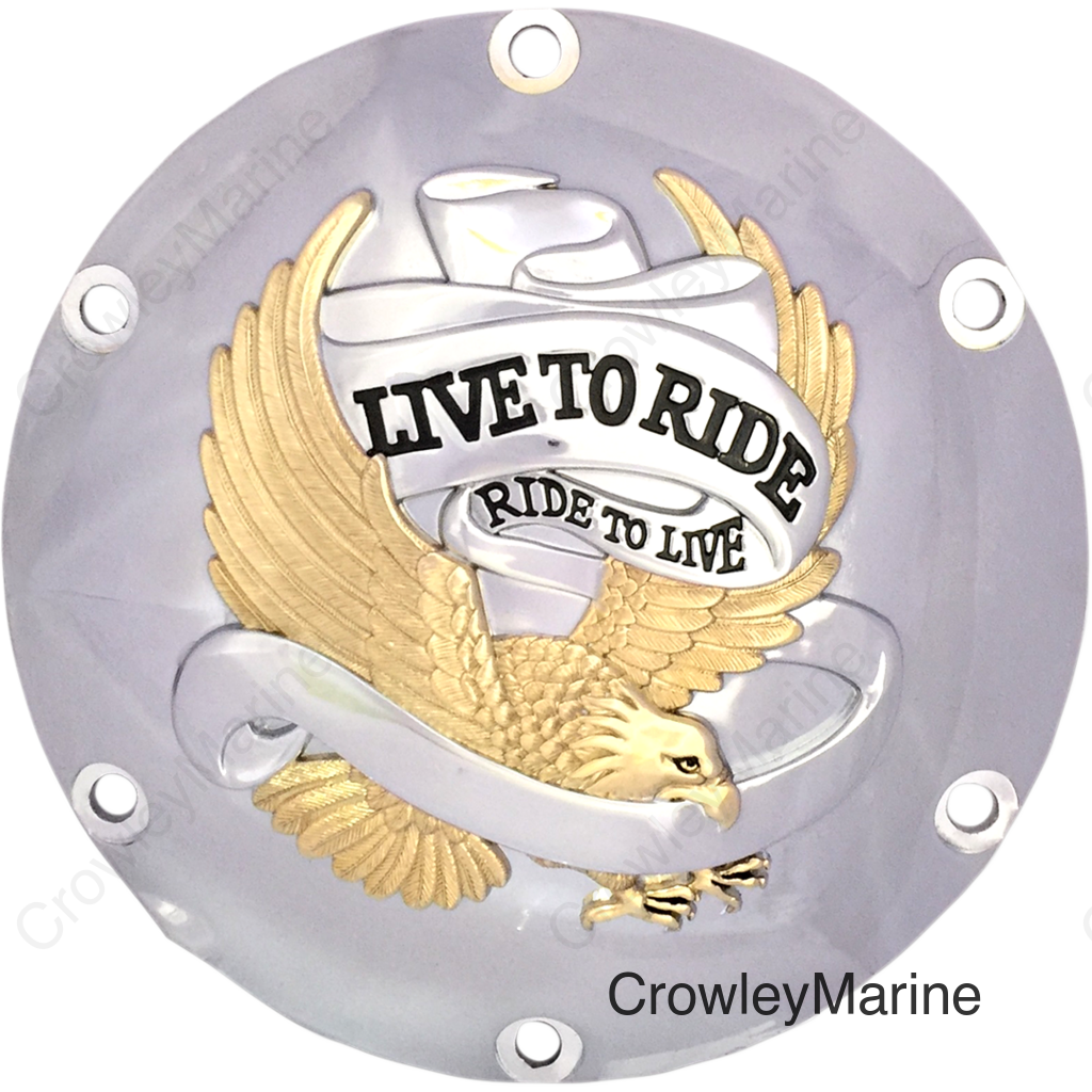 CVR DRBY LTR GLD 04-22XL