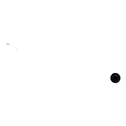 CARBURETOR REPAIR KIT thumbnail-4