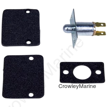 PLUNGER DOOR SWITCH (RV0000289)