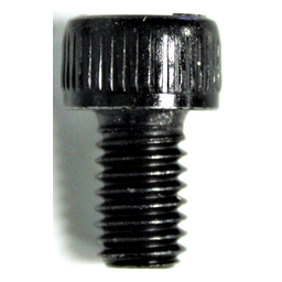 Bolt (4MY)