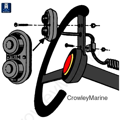 Trim Switch - Steering Wheel