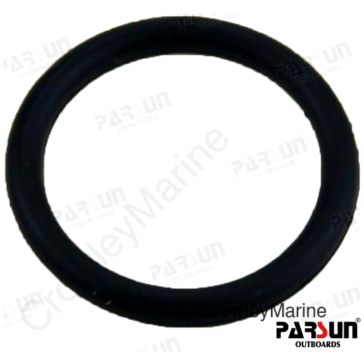 O'RING 13X2 (PAGB3452.1-13X2)