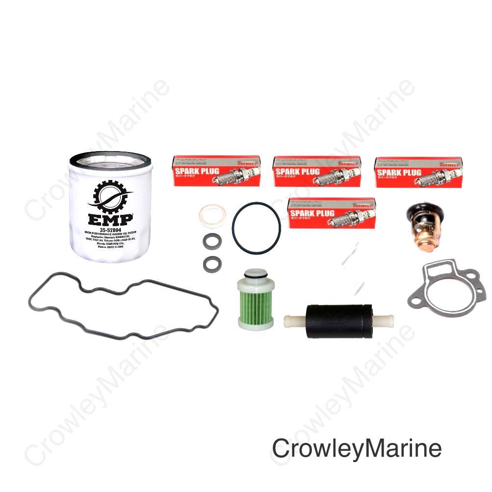 Service Kit, 100 Hour Basic 