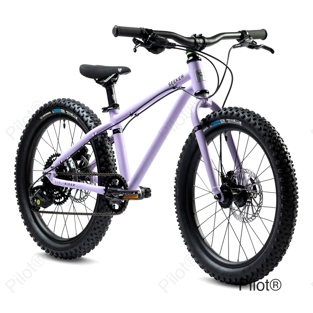 Seeker 20 - Violet Haze