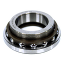 Special Bearing