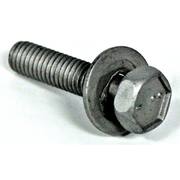 Bolt with Washer