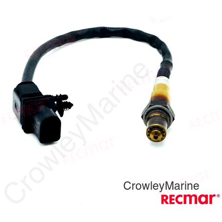 O2 SENSOR