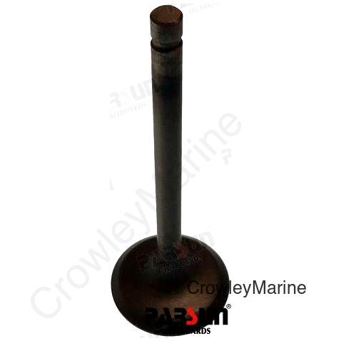 VALVE, INTAKE (PAF20-05030001)