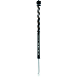 SCEPTER FORK KIT STD 49MM FXD/FXDL/FXDB 06-17