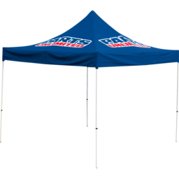 CANOPY 10X10 PARTS UNLTD