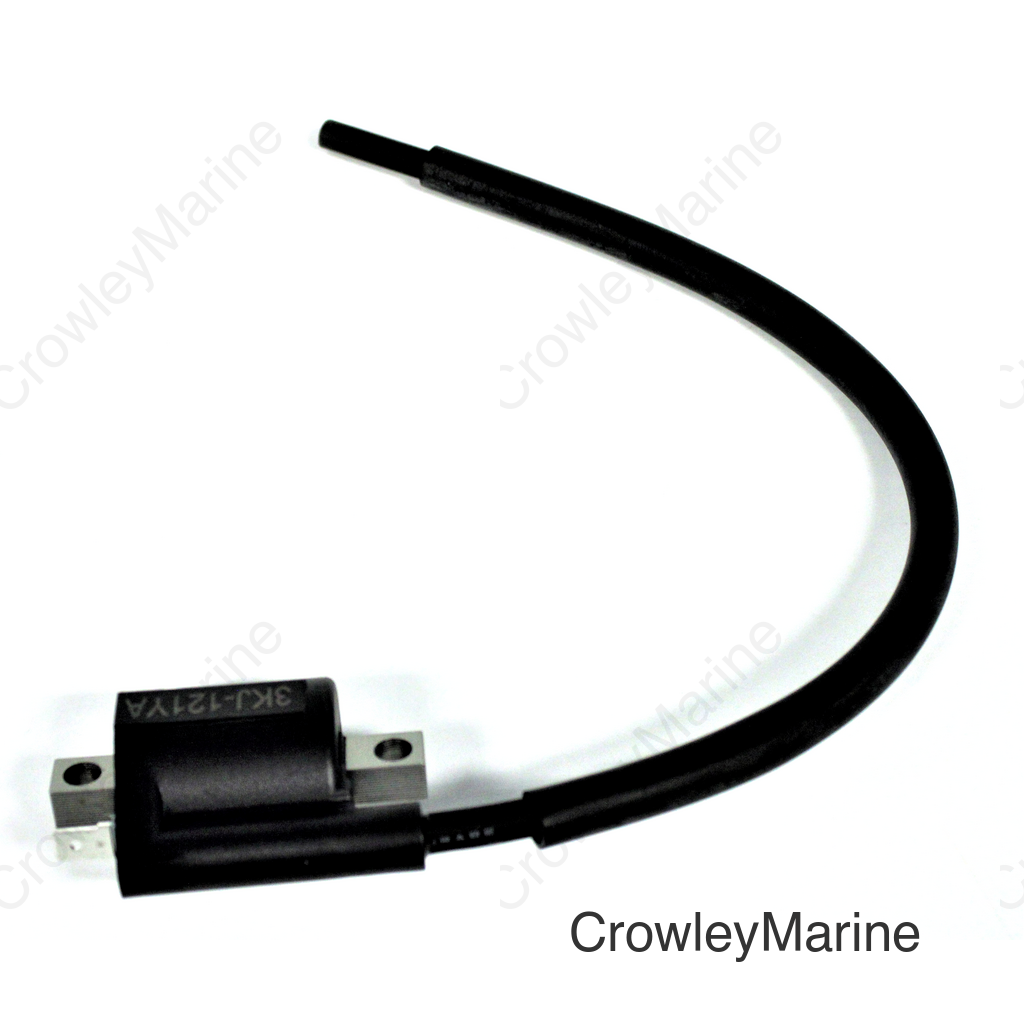 Ignition Coil Assembly