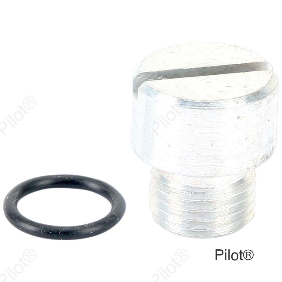 Oil Screen Plug - Cadmium - Big Twin