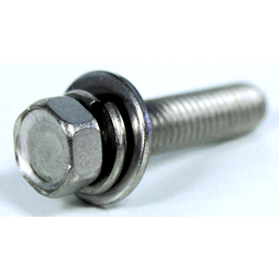 Bolt with Washer
