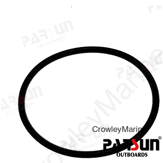 O RING (PAF4-04060002)