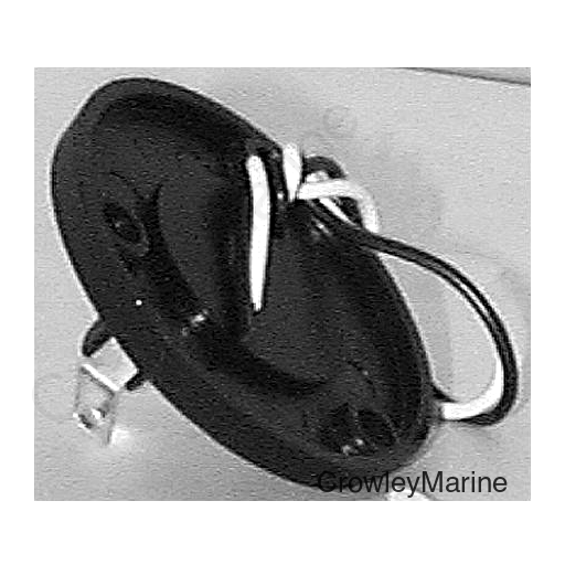 Spare Light Base & Socket Assembly