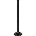 Intake Valve