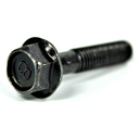 Flange Bolt