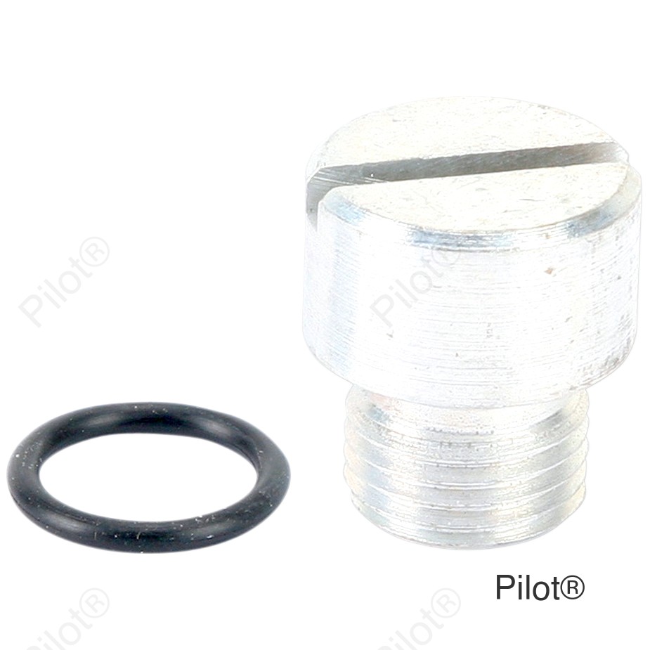 Oil Screen Plug - Cadmium - Big Twin
