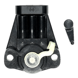BT - 0764617_bottom.png-0764617