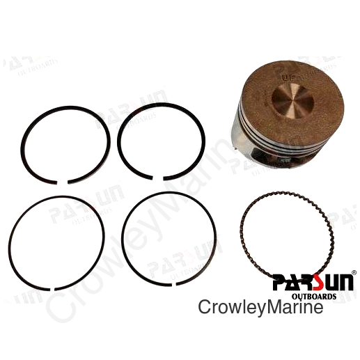 PISTON ASSY. (PAF4-04020200)