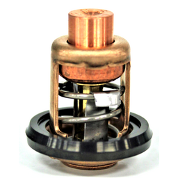 THERMOSTAT ASSY.