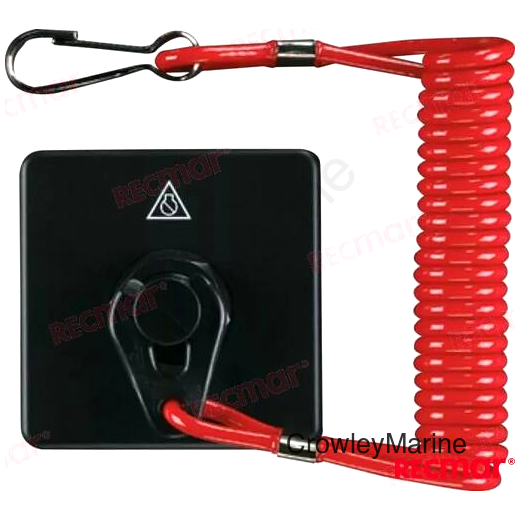 PANEL SWITCH ASY