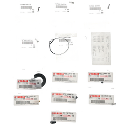 CARBURETOR REPAIR KIT