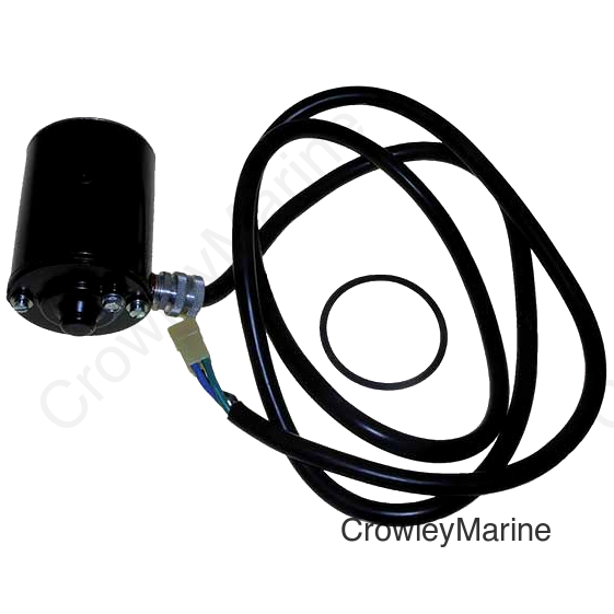 Tilt & Trim Motor