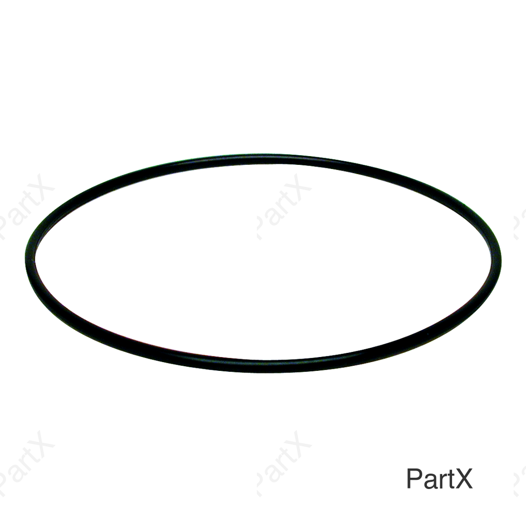 O-Ring (84295)
