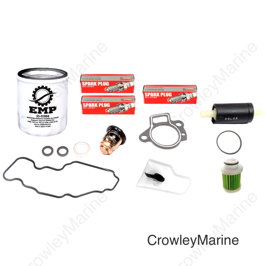 Service Kit, 100 Hour Basic 