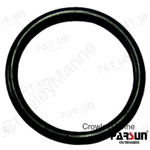 O-RING  A (PAF25-05050013)