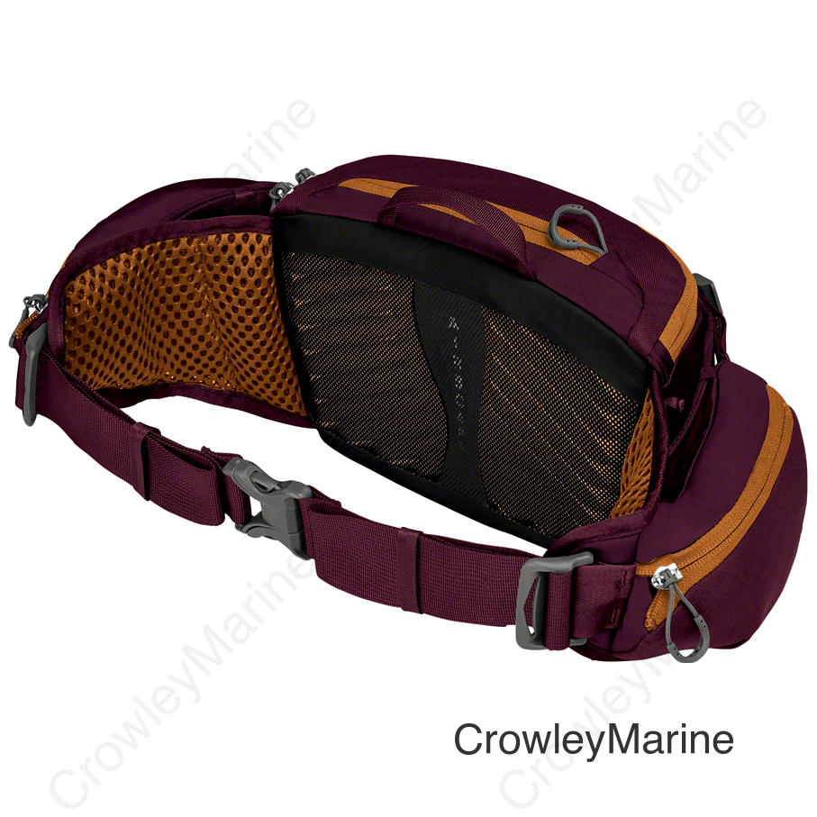 Osprey Savu 5 Lumbar Pack - One Size Aprium Purple
