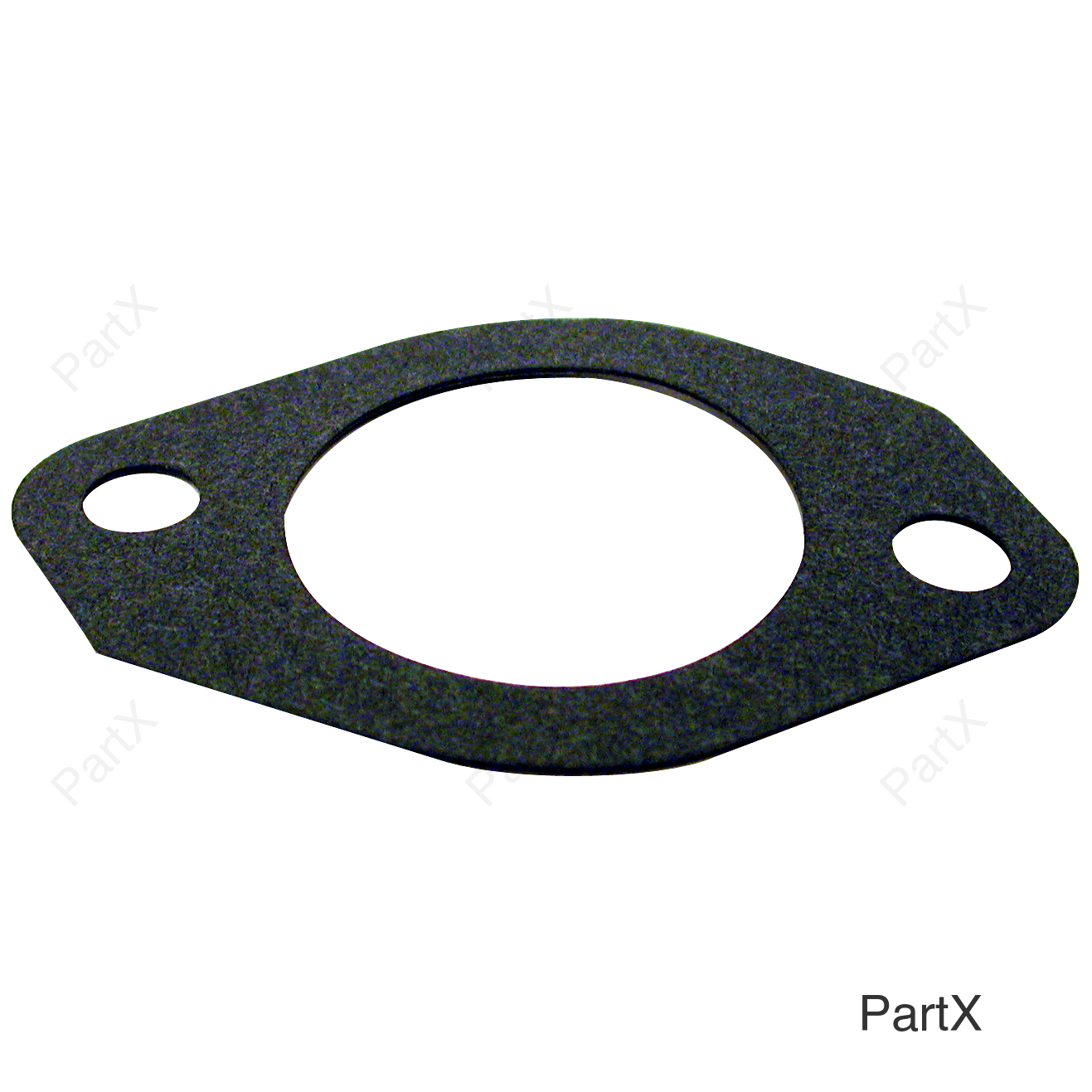 Gasket (31500)