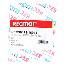 NUT (REC90171-16011) thumbnail-1