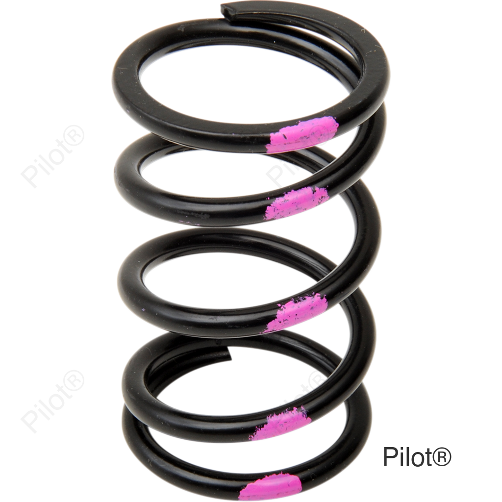 Primary Spring