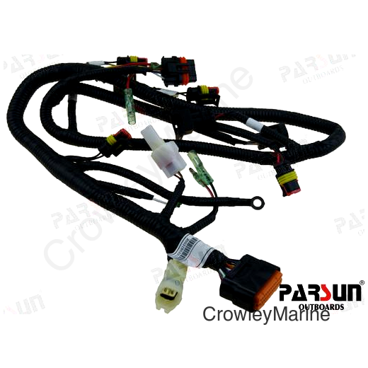 ECU CABLE ASSY