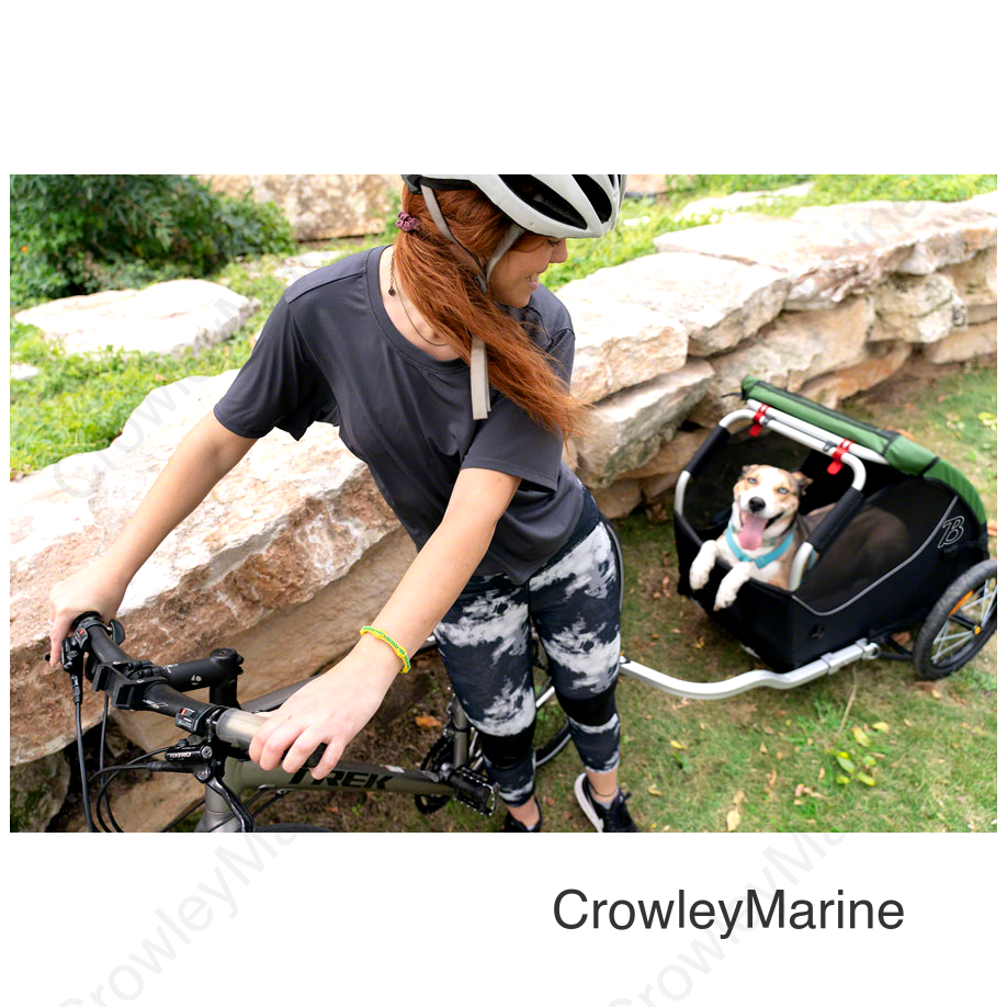 Burley Tail Wagon Pet Bike Trailer