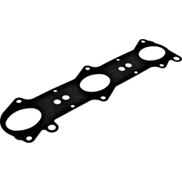 Manifold Gasket