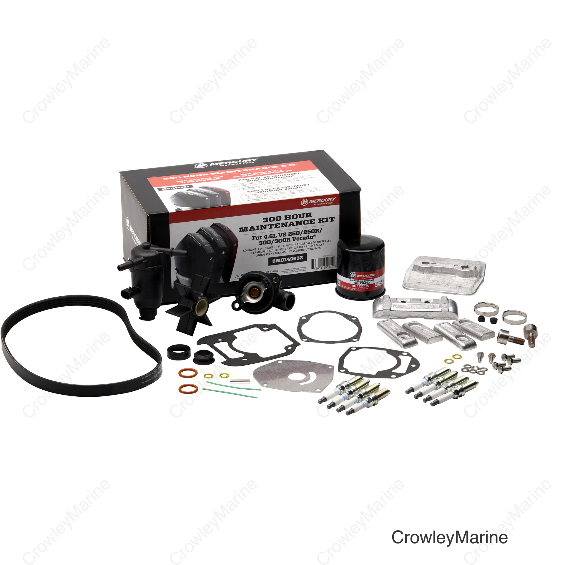 300 HR SERVICE KIT