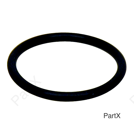 O-Ring (84004)