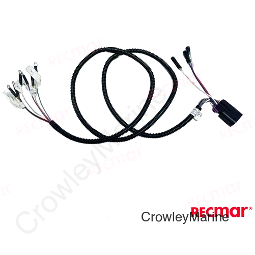 SPEED METER HARNESS